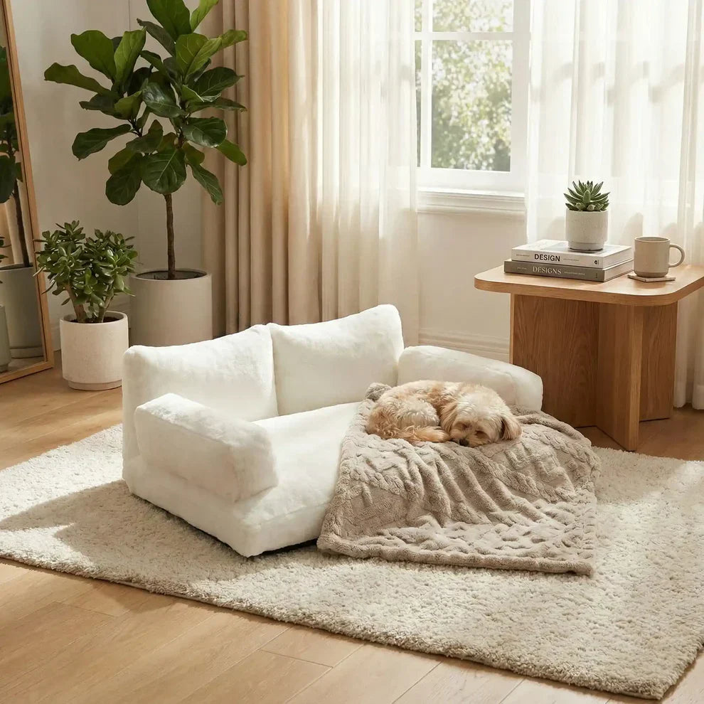 Canapé-lit amovible pour chien avec coussin