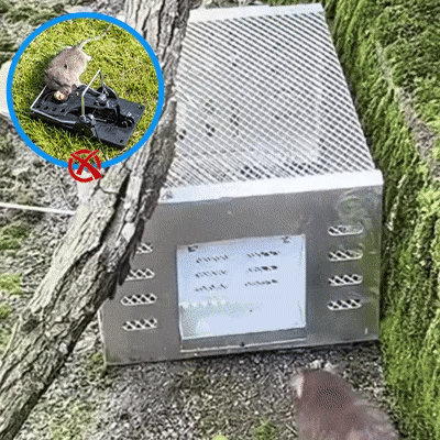 Piège à souris automatique à capture multiple et à déclenchement silencieux