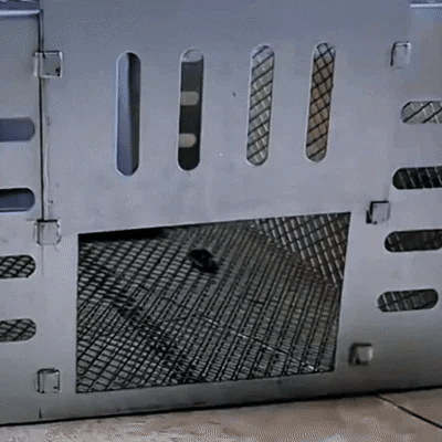 Piège à souris automatique à capture multiple et à déclenchement silencieux