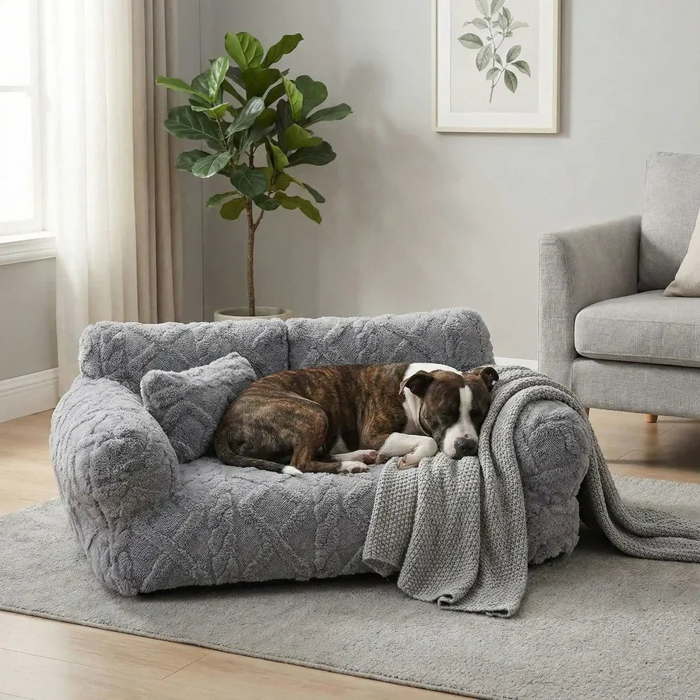 Canapé-lit amovible pour chien avec coussin