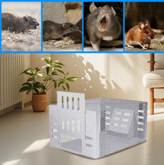 Piège à souris automatique à capture multiple et à déclenchement silencieux