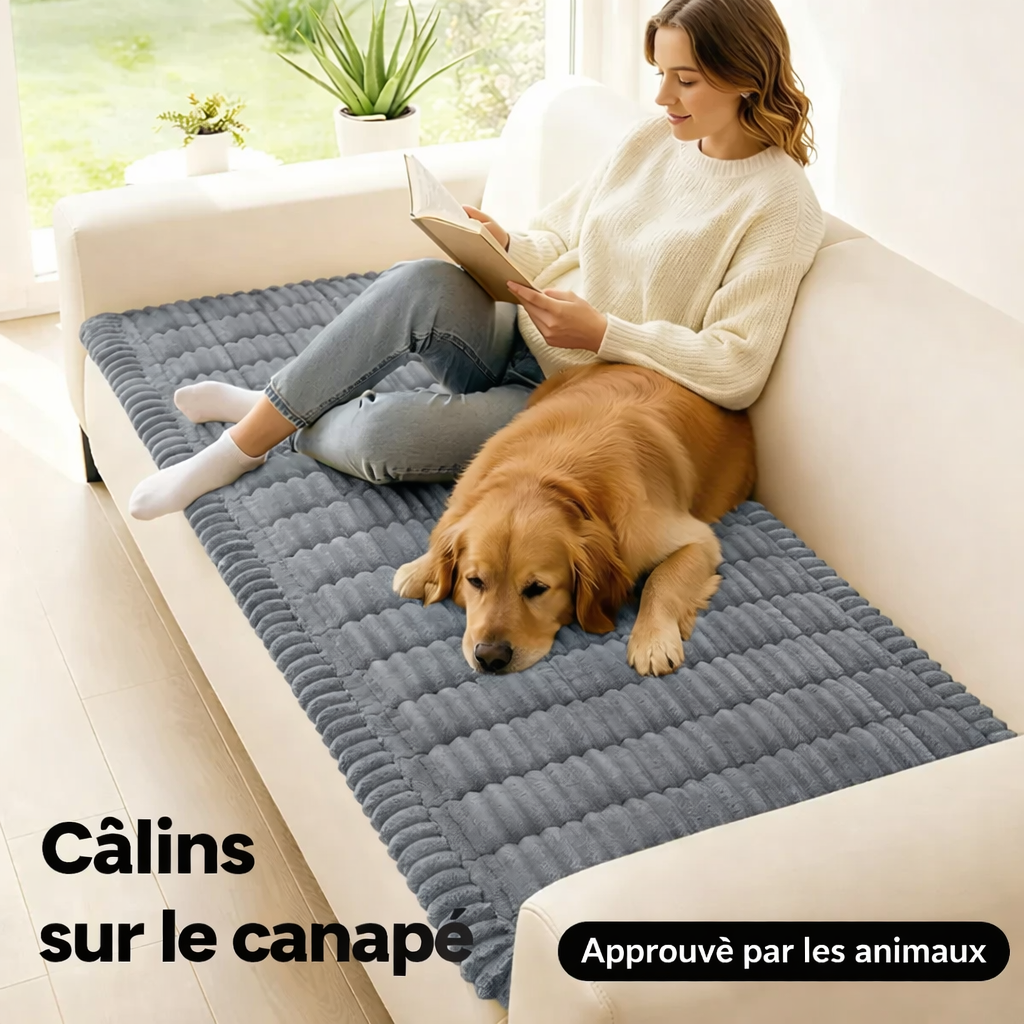Housse de protection matelassée antidérapante en peluche pour canapé pour animaux de compagnie